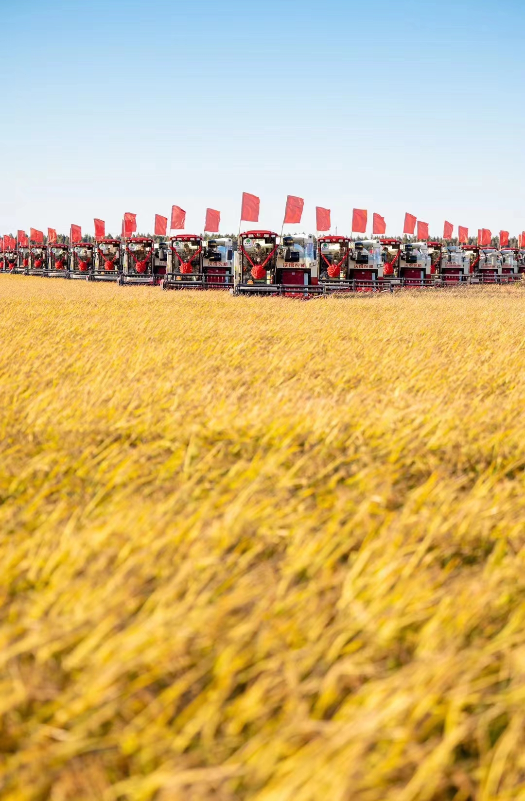  豐收之美｜沿著總書(shū)記的足跡看龍江