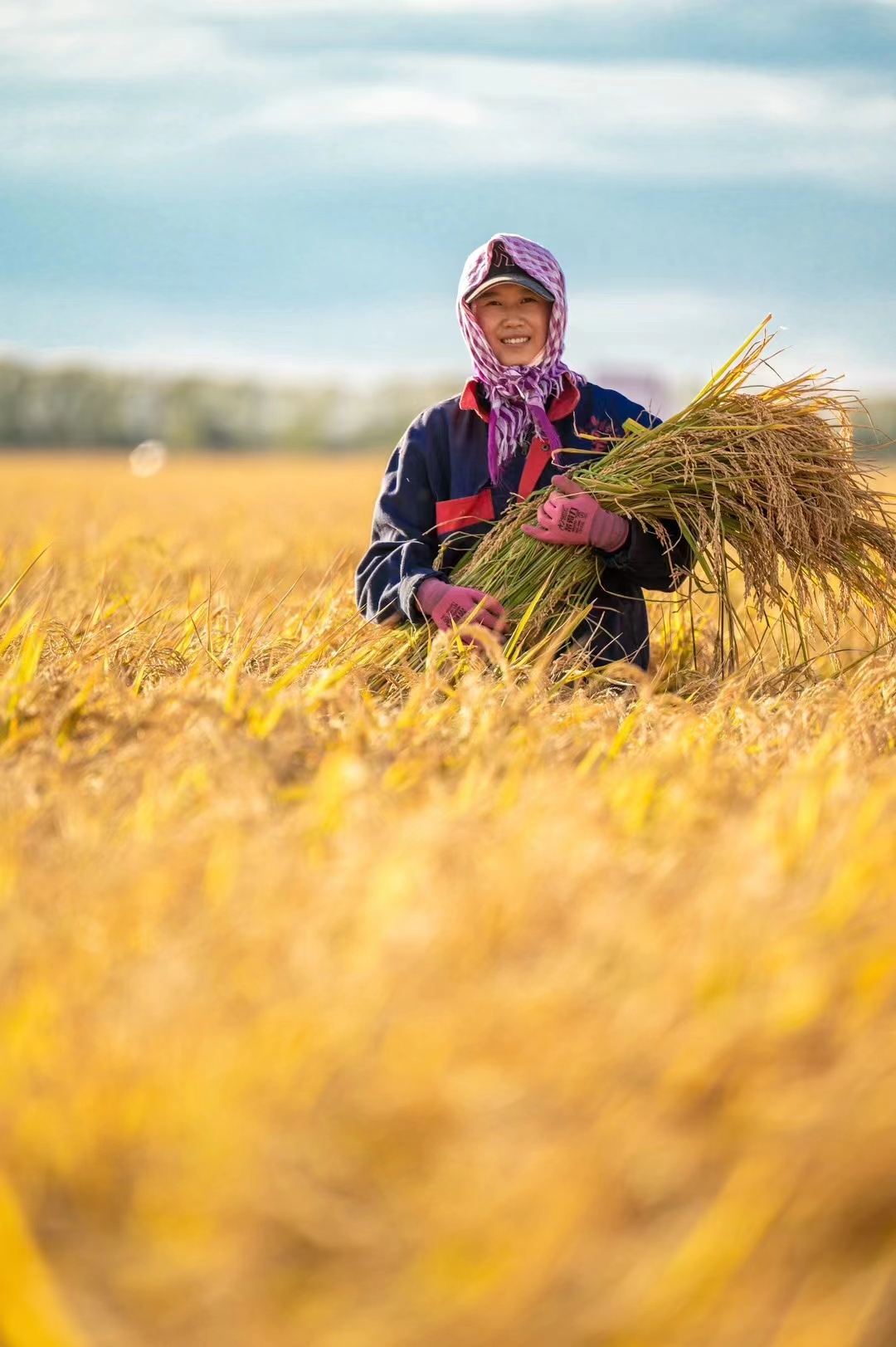  豐收之美｜沿著總書(shū)記的足跡看龍江