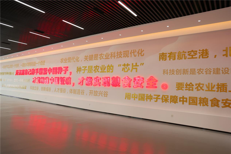 河南新鄉(xiāng):中原農(nóng)業(yè)強(qiáng)勢(shì)崛起 鑄就中國(guó)“糧食長(zhǎng)城”