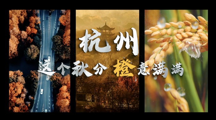 這個秋分 杭州亞運(yùn)會“橙”意滿滿