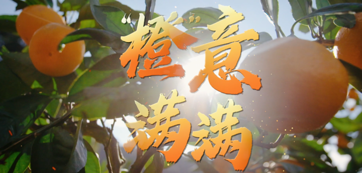 這個秋分 杭州亞運(yùn)會“橙”意滿滿