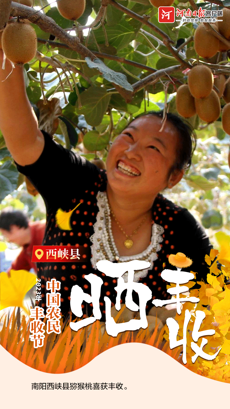 海報(bào) | 豐收節(jié)，曬豐收！（一）