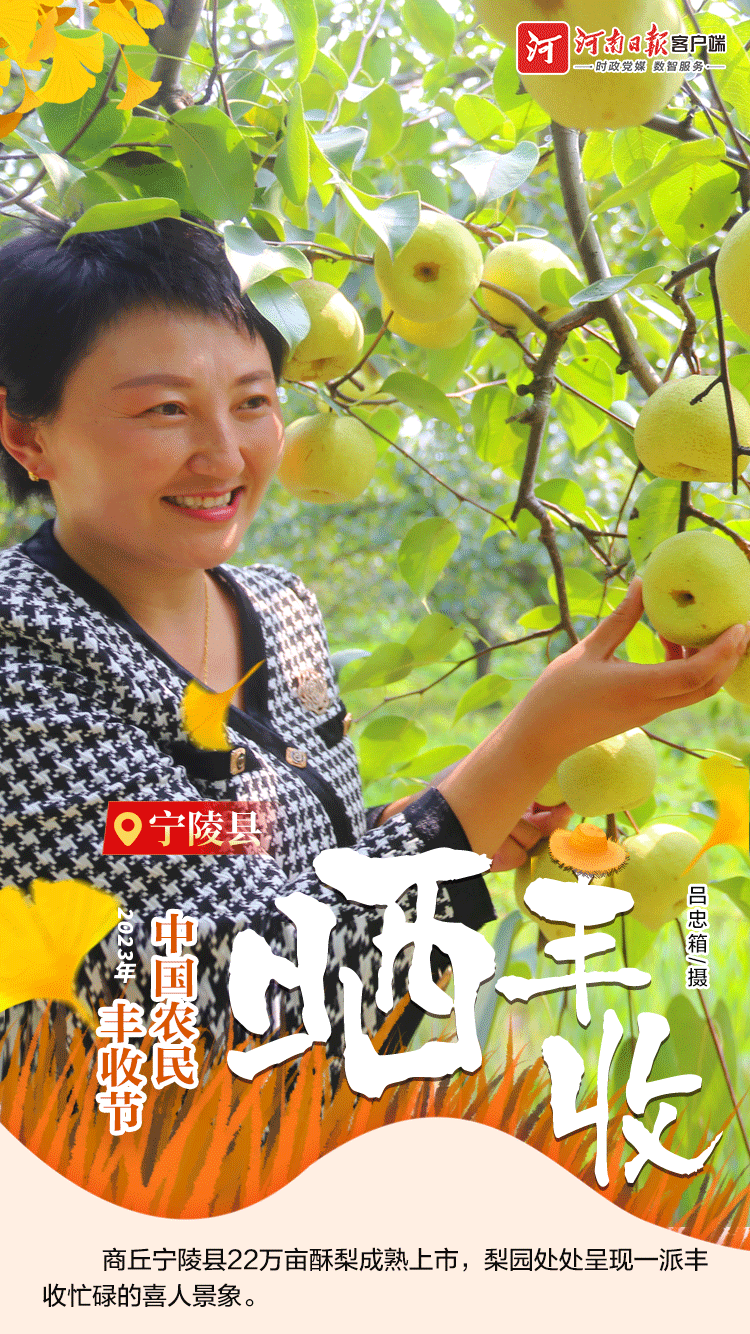 海報(bào) | 豐收節(jié)，曬豐收?。ㄒ唬? /></p>
<p style=