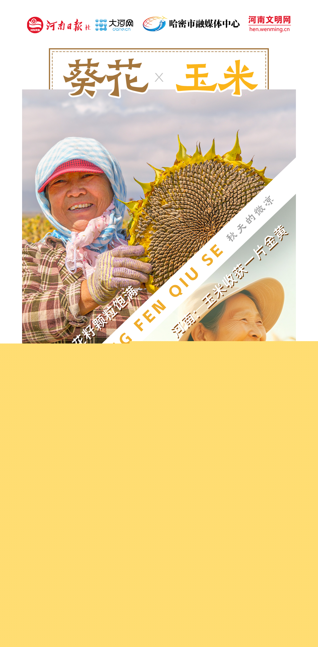 稻花香里說(shuō)豐年丨豫哈“豐”景 平分秋色