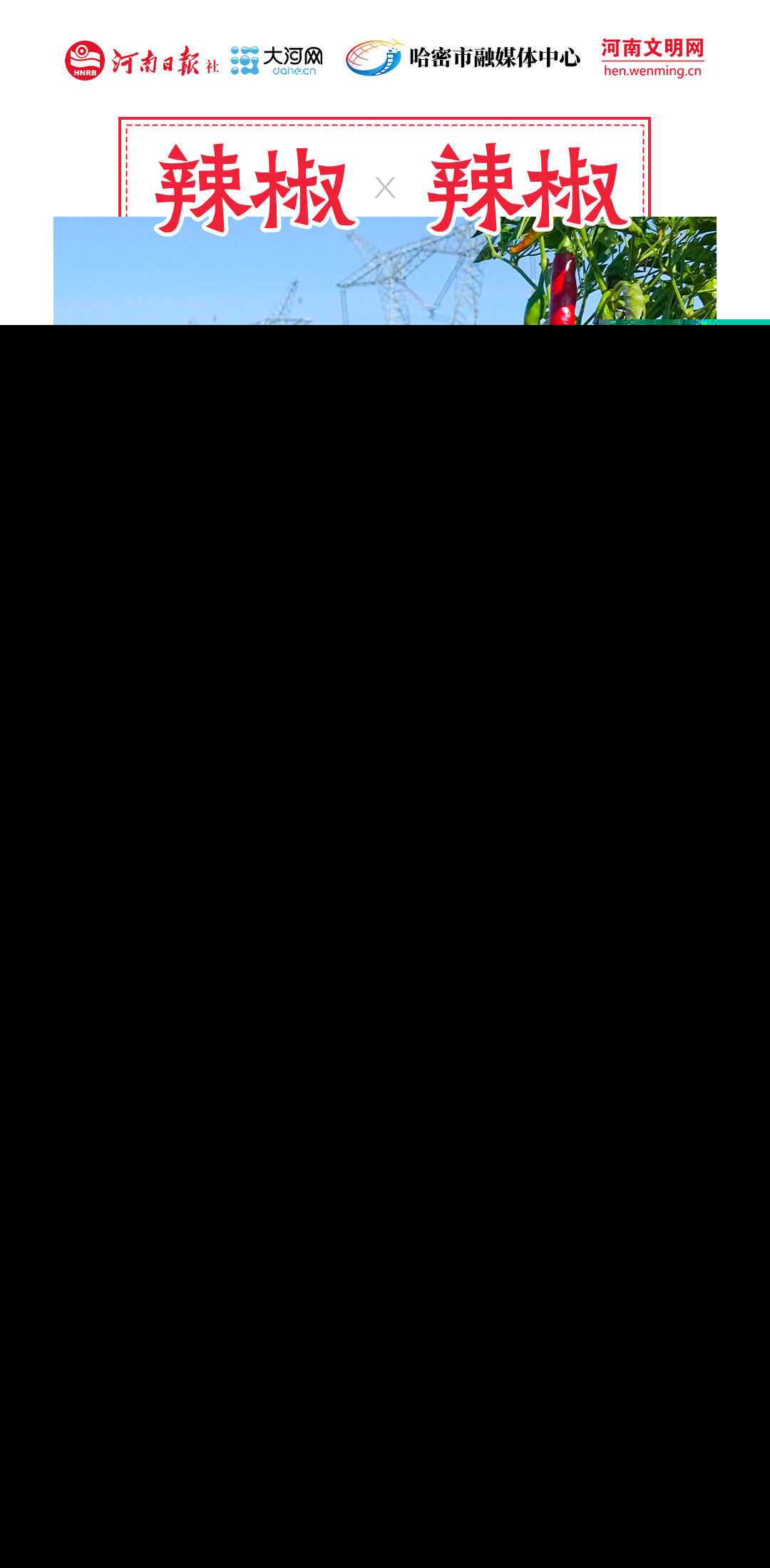 稻花香里說(shuō)豐年丨豫哈“豐”景 平分秋色