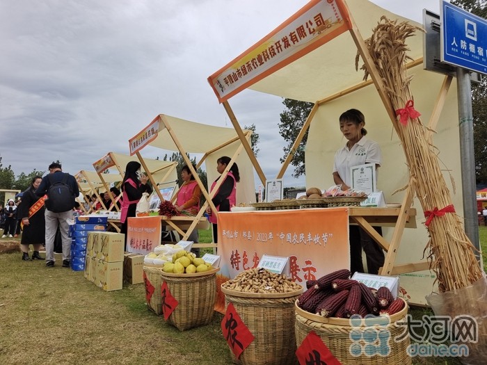 稻花香里說豐年丨劉蘭芳點贊種糧大戶！平頂山慶祝2023年中國農(nóng)民豐收節(jié)