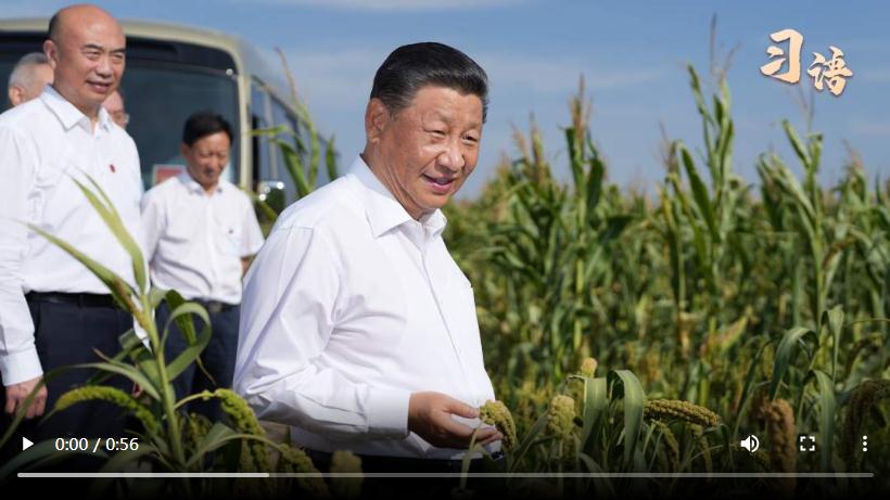 習(xí)語(yǔ)｜“我也是從農(nóng)村出來(lái)的”