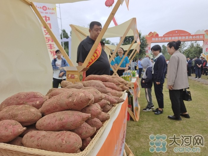 稻花香里說豐年丨劉蘭芳點贊種糧大戶！平頂山慶祝2023年中國農(nóng)民豐收節(jié)
