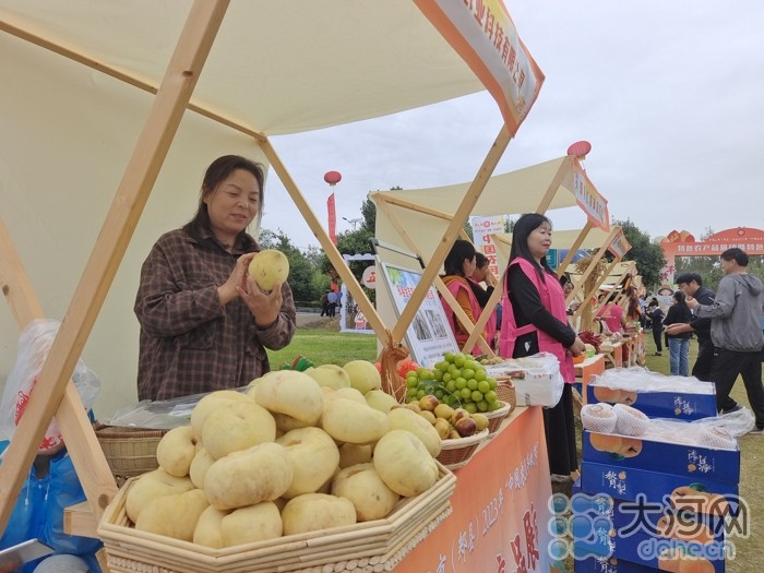 稻花香里說豐年丨劉蘭芳點贊種糧大戶！平頂山慶祝2023年中國農(nóng)民豐收節(jié)