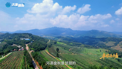 “國(guó)色天香”的河洛之地有多少美味？洛陽(yáng)農(nóng)業(yè)農(nóng)村局局長(zhǎng)帶你嘗美食賞美景！