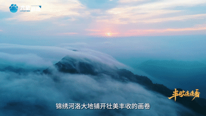 “國(guó)色天香”的河洛之地有多少美味？洛陽(yáng)農(nóng)業(yè)農(nóng)村局局長(zhǎng)帶你嘗美食賞美景！