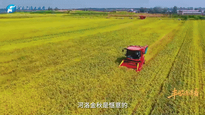 “國(guó)色天香”的河洛之地有多少美味？洛陽(yáng)農(nóng)業(yè)農(nóng)村局局長(zhǎng)帶你嘗美食賞美景！
