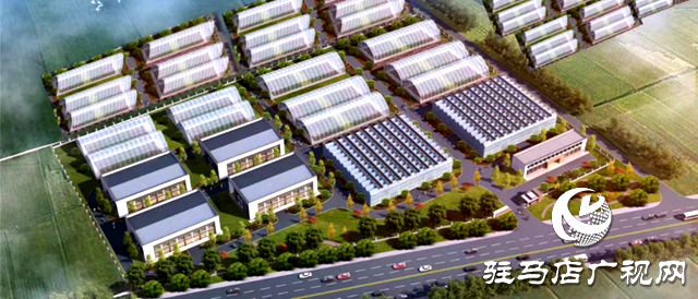 &ldquo;雁亭農(nóng)人&rdquo;品牌香菇基地迎來首采期