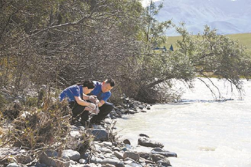 高質效履行法律監(jiān)督職責基層行|大美新疆的"檢察秘方"