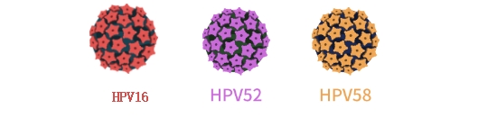 宮頸癌發(fā)病呈年輕化趨勢？請收好預(yù)防指南