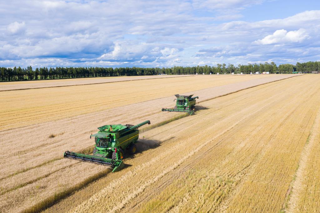 新時代新征程新偉業(yè)·習近平總書記關(guān)切事丨“北大倉”：當好國家糧食安全“壓艙石”