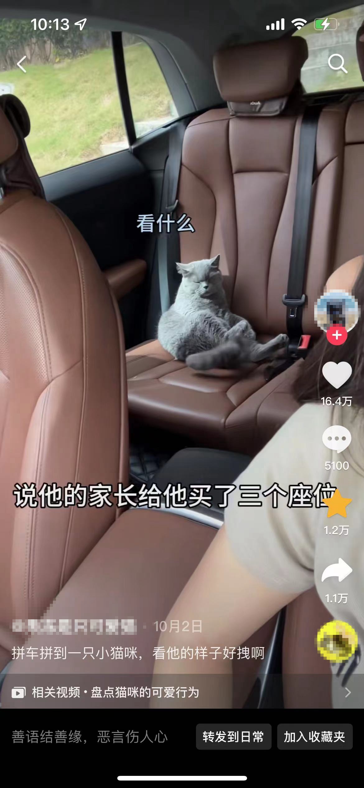 順風(fēng)車亂象：起猛了，拼車拼到狗子