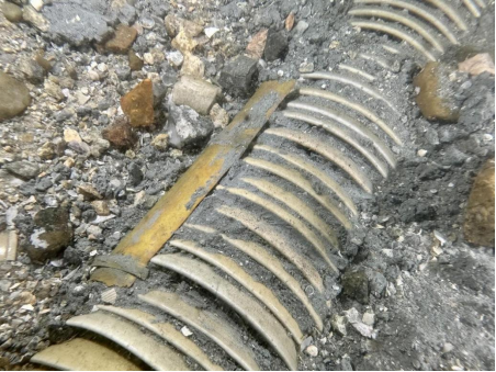 水下考古有重要發(fā)現(xiàn)！1500米深海發(fā)現(xiàn)明代沉船遺址原來長這樣