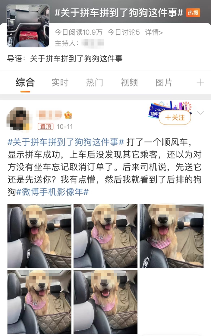 順風(fēng)車亂象：起猛了，拼車拼到狗子