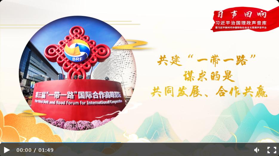 【大道共通】習(xí)聲回響丨共建“一帶一路”謀求的是共同發(fā)展、合作共贏