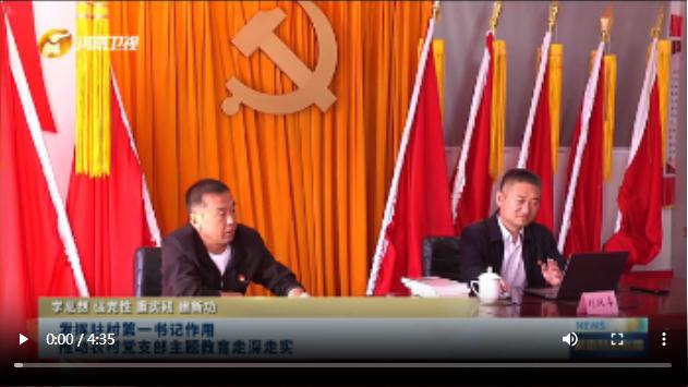 發(fā)揮駐村第一書記作用 推動農村黨支部主題教育走深走實丨學思想 強黨性 重實踐 建新功