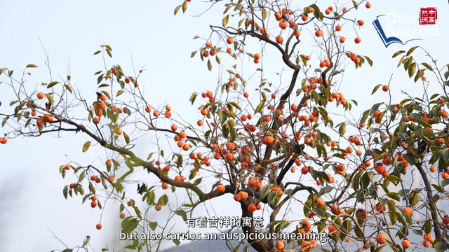 中國熱詞：霜降里的關照與溫暖
