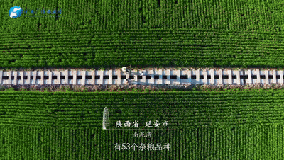 《從延安到紅旗渠》：一脈相承，永遠(yuǎn)震撼人心