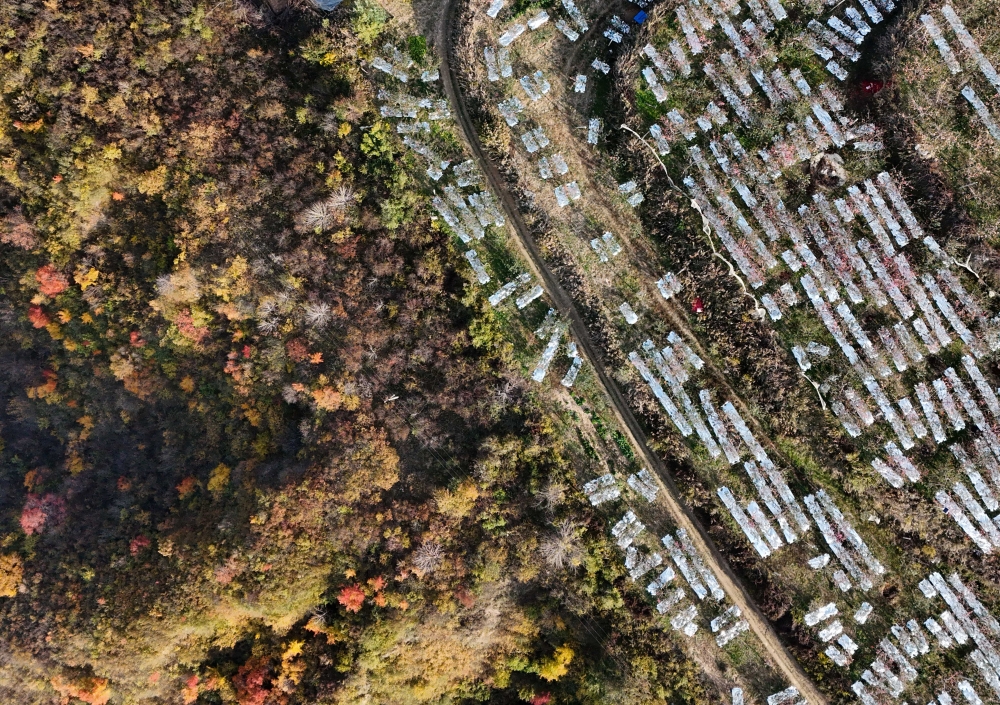 一脈相承 生生不息——從延安精神到紅旗渠精神