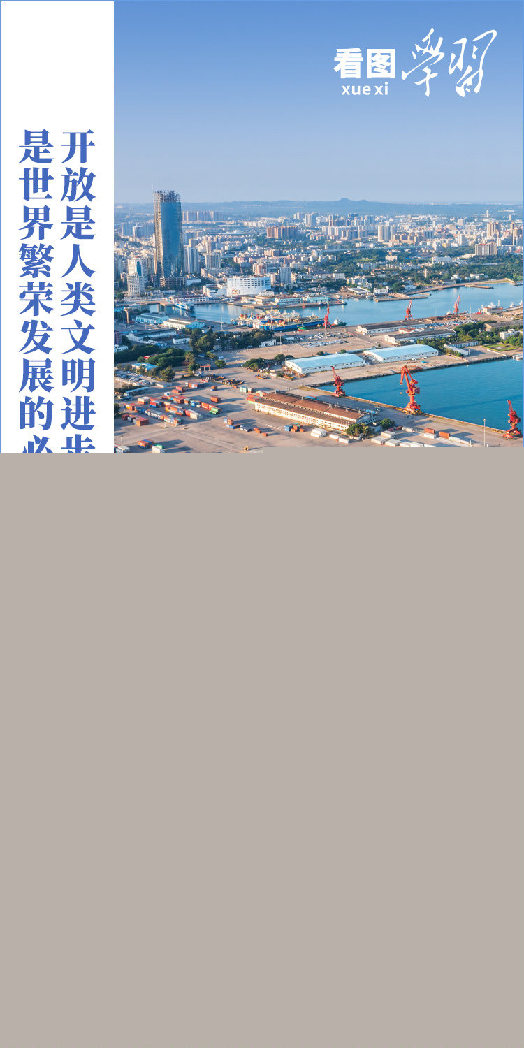 看圖學(xué)習(xí)丨中國新發(fā)展世界新機(jī)遇 推動建設(shè)開放型世界經(jīng)濟(jì)