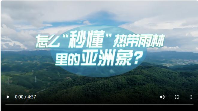 中國式現(xiàn)代化·青年的回答丨怎么“秒懂”熱帶雨林里的亞洲象？