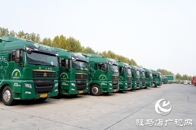 2.整裝待發(fā)的郵運車輛.JPG