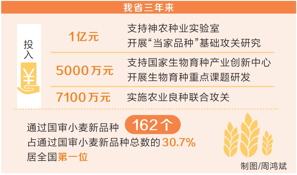 新時(shí)代 新征程 新偉業(yè) | 勇攀種業(yè)新高峰 ——寫(xiě)在2023中原農(nóng)谷國(guó)際種業(yè)大會(huì)開(kāi)幕之際