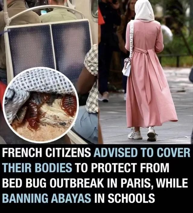 以人類血液為食！多國(guó)爆發(fā)，已蔓延至亞洲