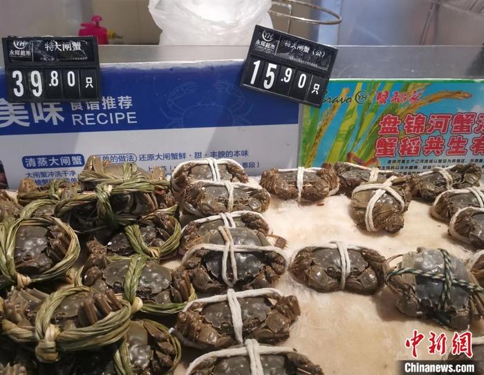 你吃大閘蟹了嗎？降價了，便宜的一只不到10元