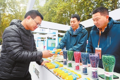 關注2023中原農(nóng)谷國際種業(yè)大會丨提振農(nóng)業(yè)“芯”動力——2023中原農(nóng)谷國際種業(yè)大會掠影