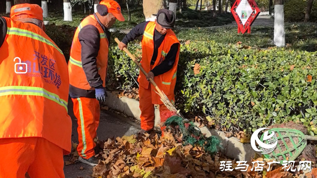 一夜風吹滿地黃 環(huán)衛(wèi)清掃落葉忙