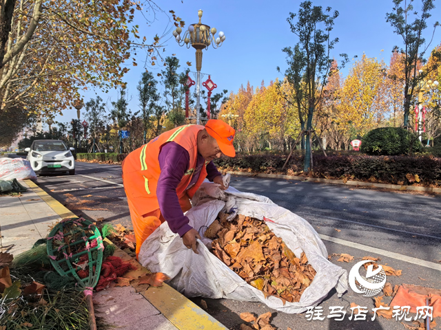 一夜風吹滿地黃 環(huán)衛(wèi)清掃落葉忙