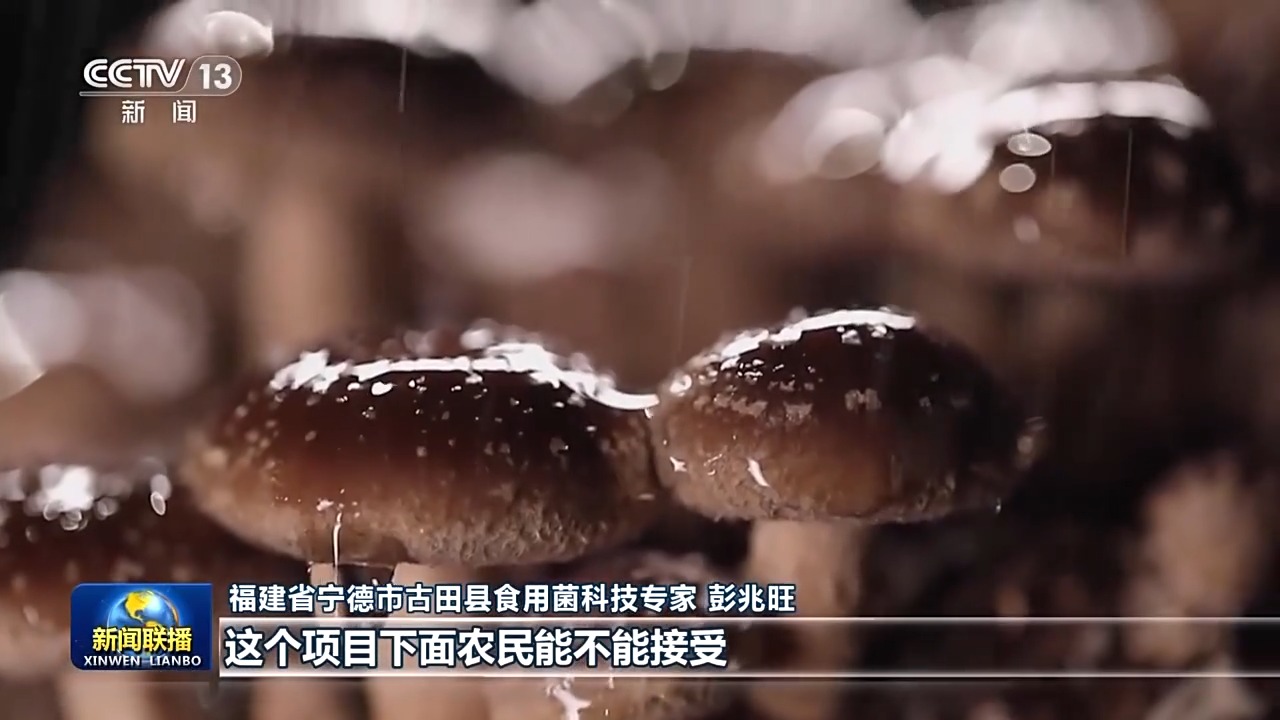 深入群眾問(wèn)需于民 “四下基層”永遠(yuǎn)把老百姓放在心中最高位置