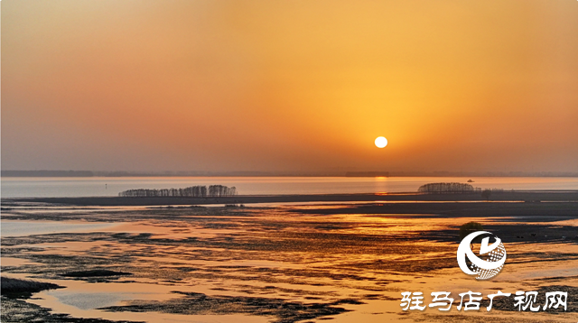 【組圖】壯觀！宿鴨湖迎來(lái)大批天鵝越冬