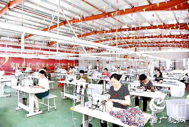 平輿縣建設“三園”同構(gòu)新模式 繪就富民強縣新時代畫卷