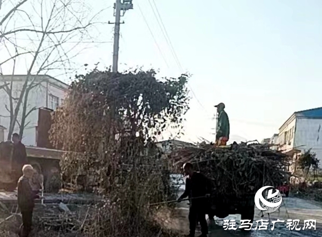 泌陽縣象河鄉(xiāng)：整治人居環(huán)境，助力鄉(xiāng)村振興