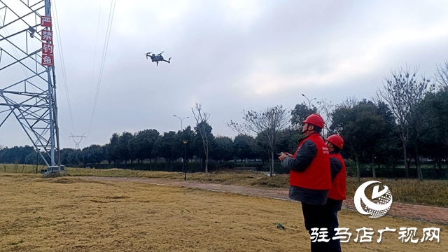 國(guó)網(wǎng)平輿縣供電公司確保電網(wǎng)安全運(yùn)行、穩(wěn)定度過(guò)寒潮
