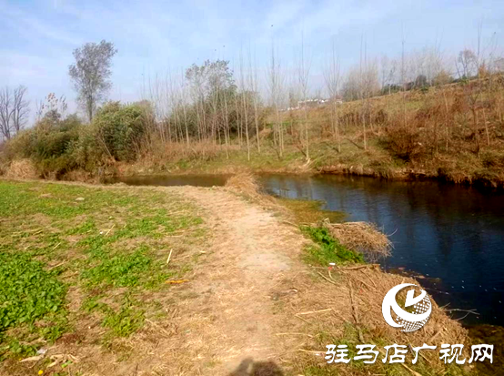 遂平縣陽(yáng)豐鎮(zhèn)：扎實(shí)推進(jìn)河長(zhǎng)制工作助力生態(tài)發(fā)展