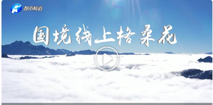總書記的回信第二季|國(guó)境線上格?；? width=