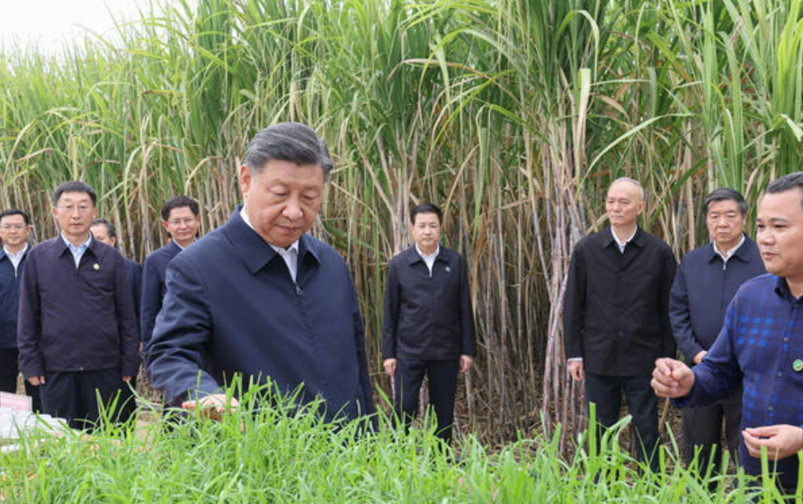 習(xí)近平在廣西來(lái)賓市考察調(diào)研