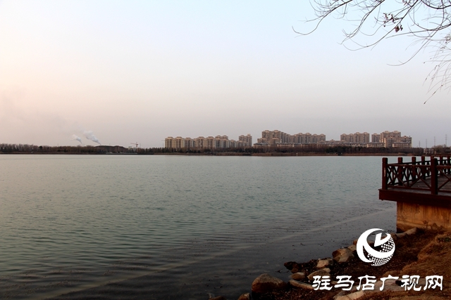 新蔡縣:西湖公園隆冬時節(jié)美如調(diào)色盤