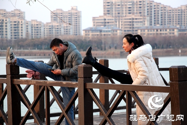 新蔡縣:西湖公園隆冬時節(jié)美如調(diào)色盤