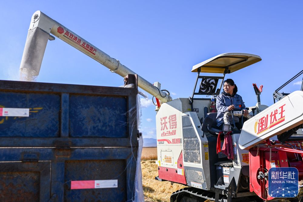 規(guī)劃來了！2024年，&ldquo;三農(nóng)&rdquo;工作這么干
