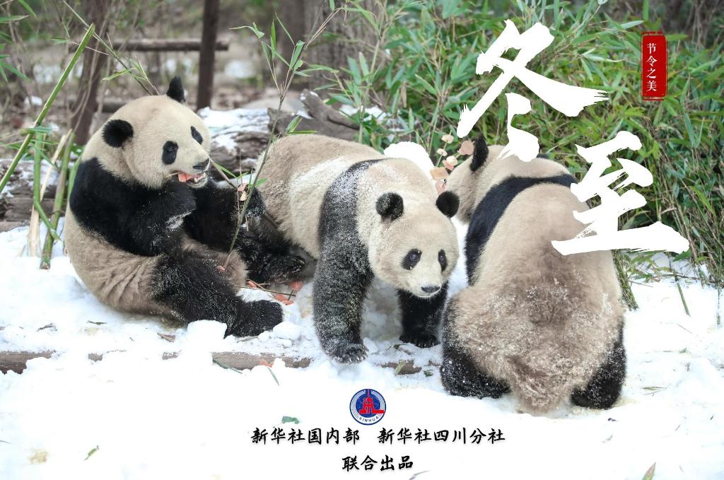 節(jié)令之美·冬至丨冬至,如約而至