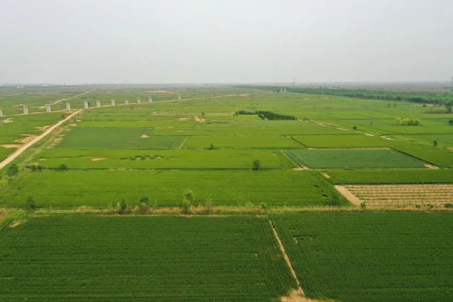 走過2023丨總書記的民生之&ldquo;問&rdquo;